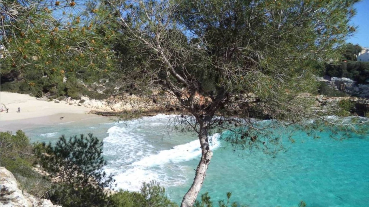 Photo of Outdoor in Cala Mandia