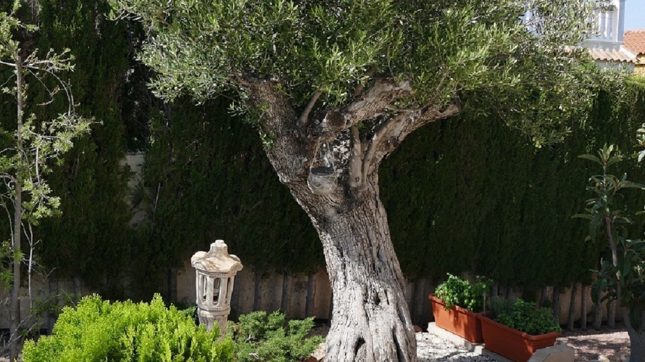 Photo of Outdoor in Puerto Marino