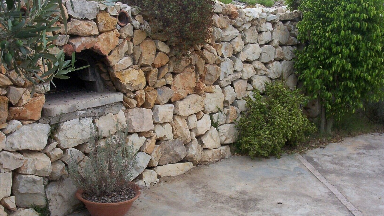 Photo of Outdoor in Son Macia