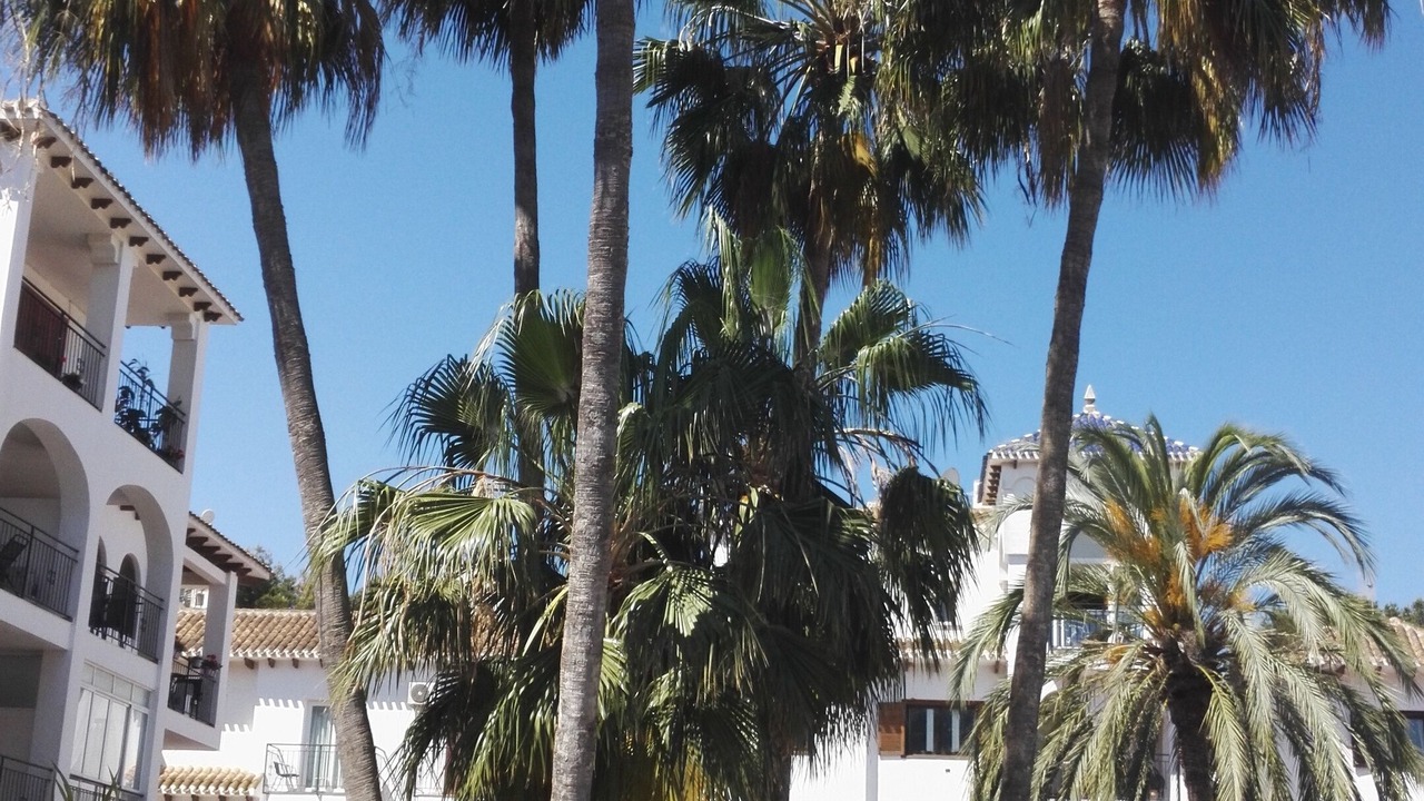 Photo of Others in Orihuela Costa