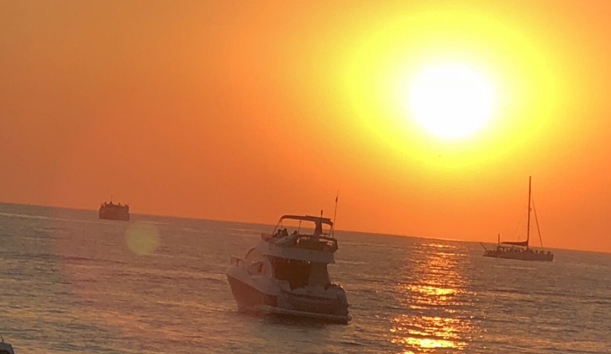 Photo of Others in Alcudia