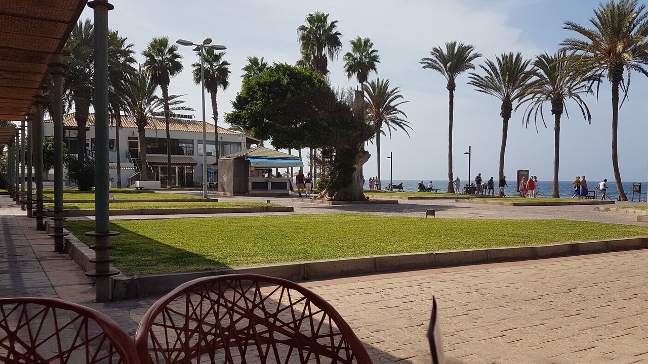 Photo of Outdoor in El Madronal