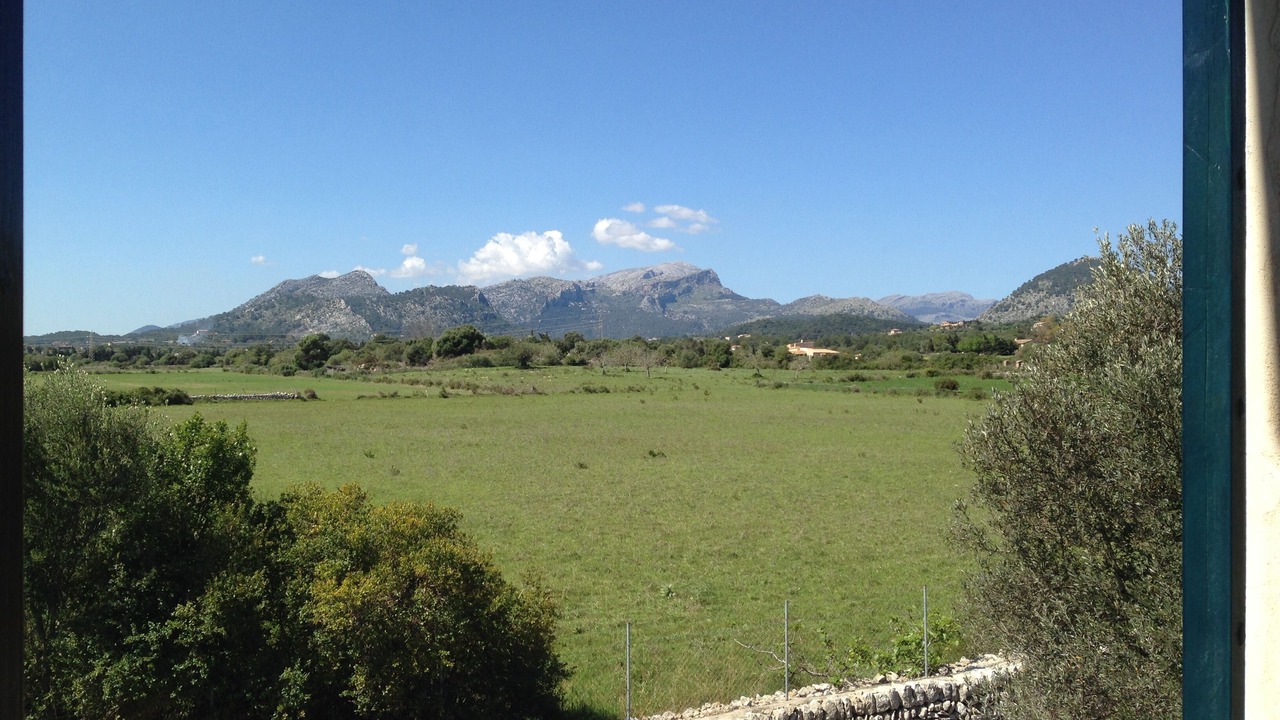Photo of Others in Puerto de Pollensa