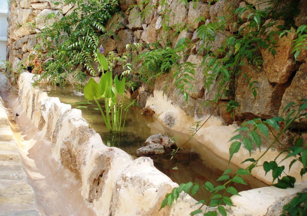 Photo of Outdoor in Sant Miquel de Balasant