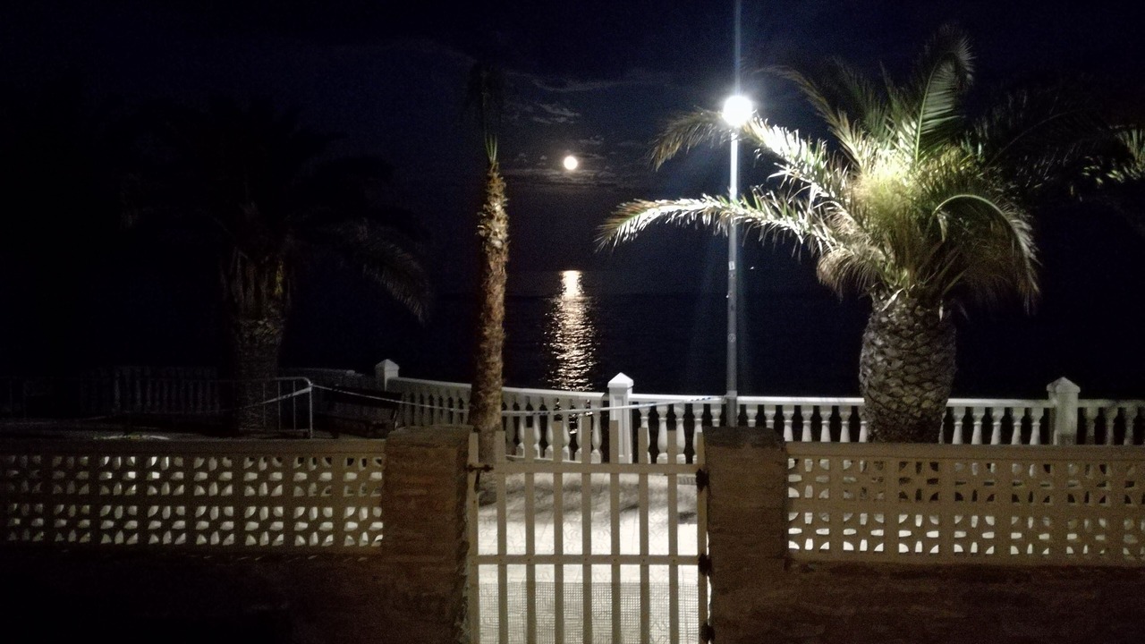 Photo of Outdoor in Pilar de la Horadada