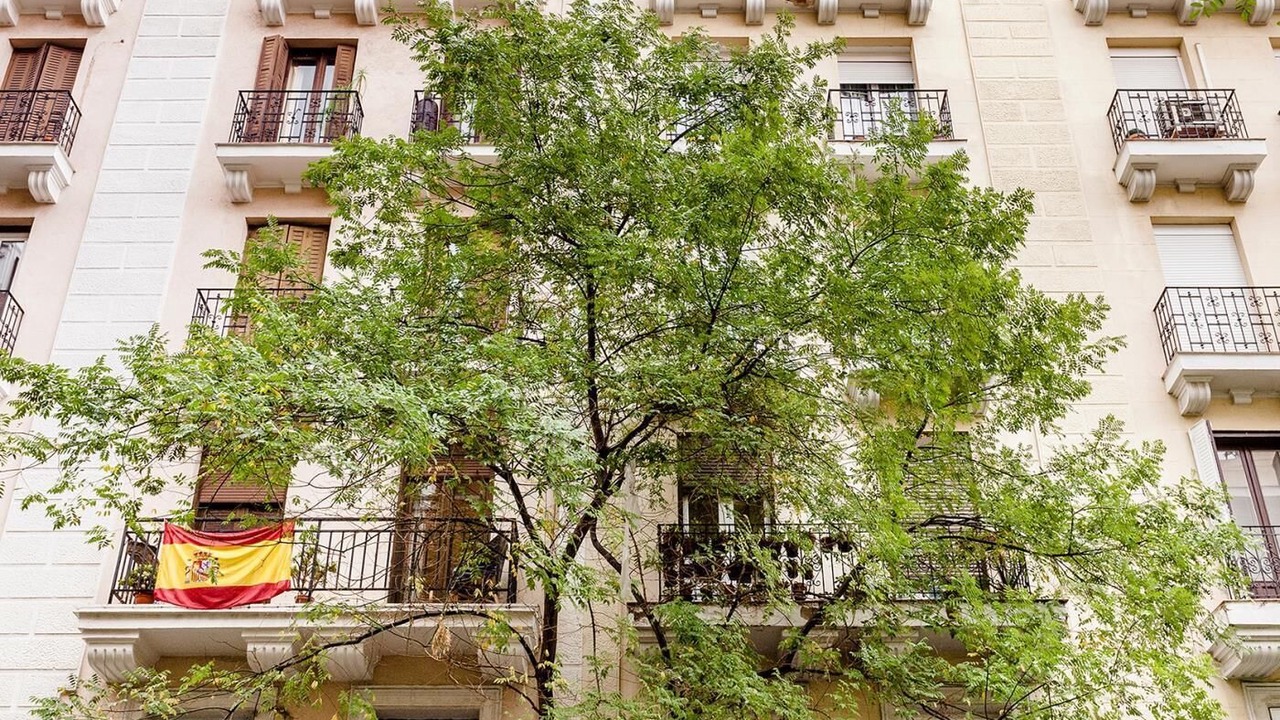 Photo of Outdoor in Salamanca