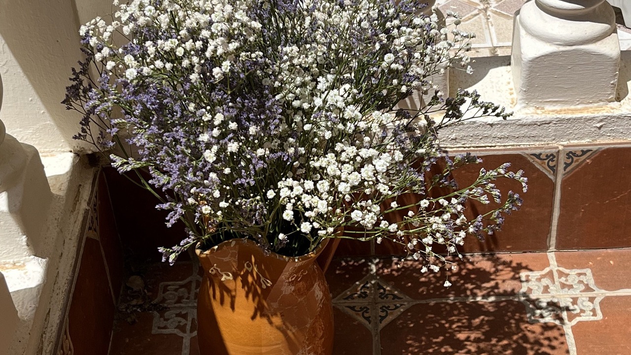 Photo of Outdoor in Orihuela Costa