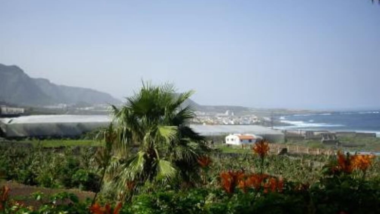 Photo of Others in Garachico
