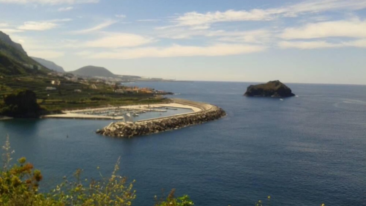 Photo of Others in Garachico