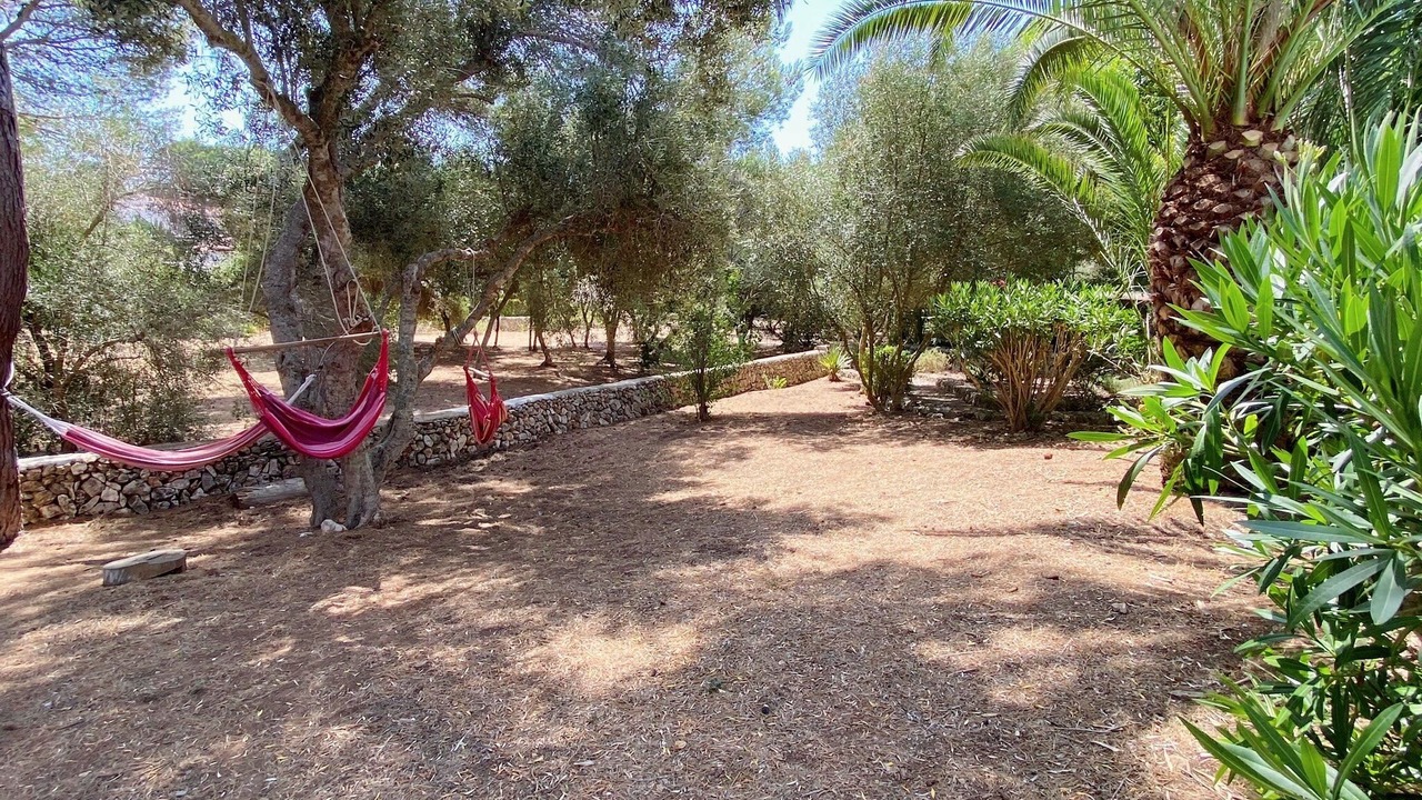 Photo of Outdoor in Binibeca