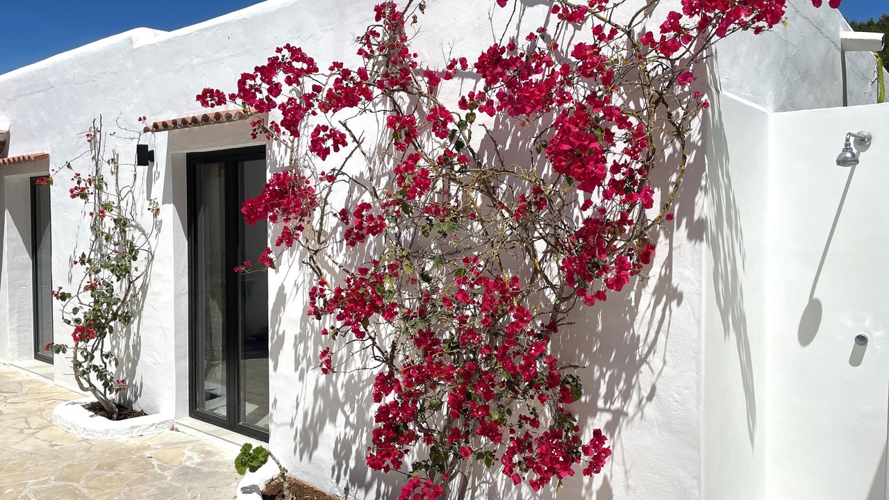 Photo of Outdoor in Cala Comte