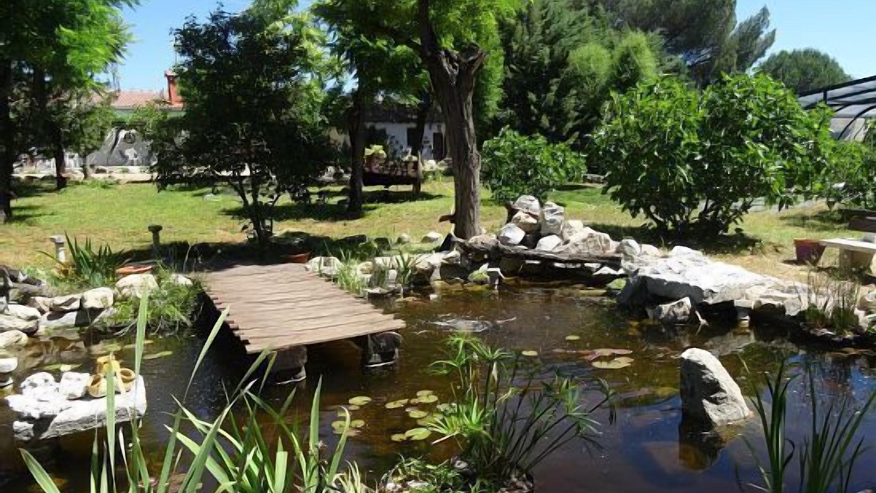 Photo of Outdoor in Galapagar