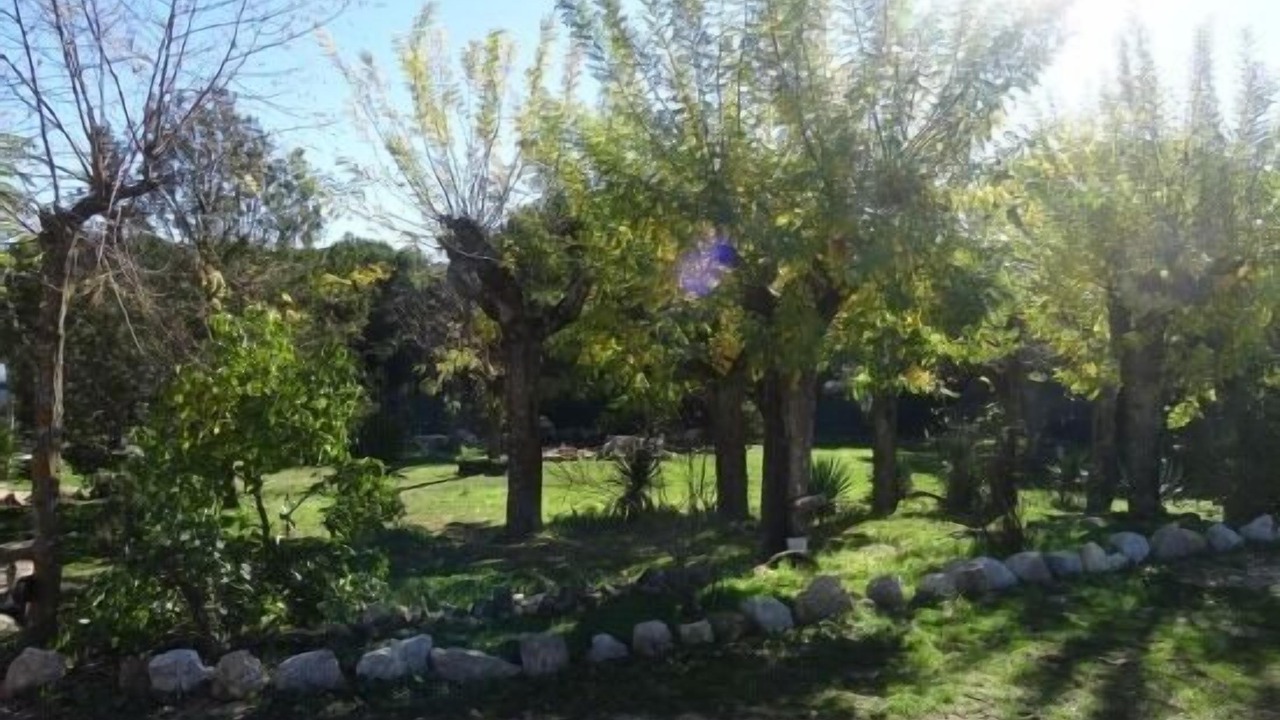 Photo of Outdoor in Galapagar