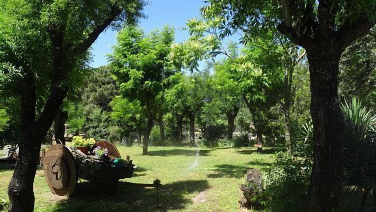 Photo of Outdoor in Galapagar