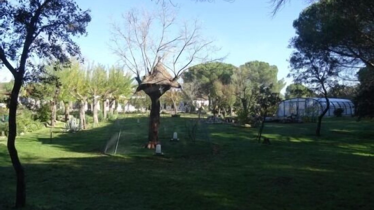 Photo of Outdoor in Galapagar