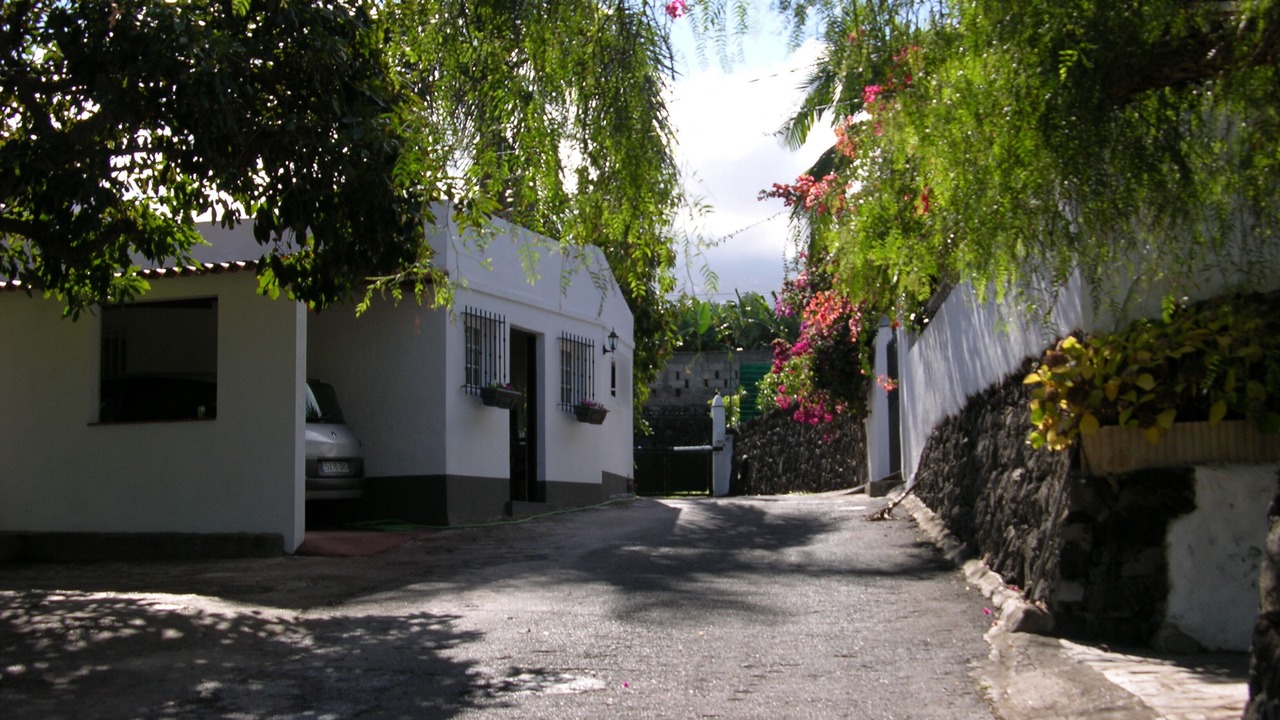 Photo of Others in La Orotava