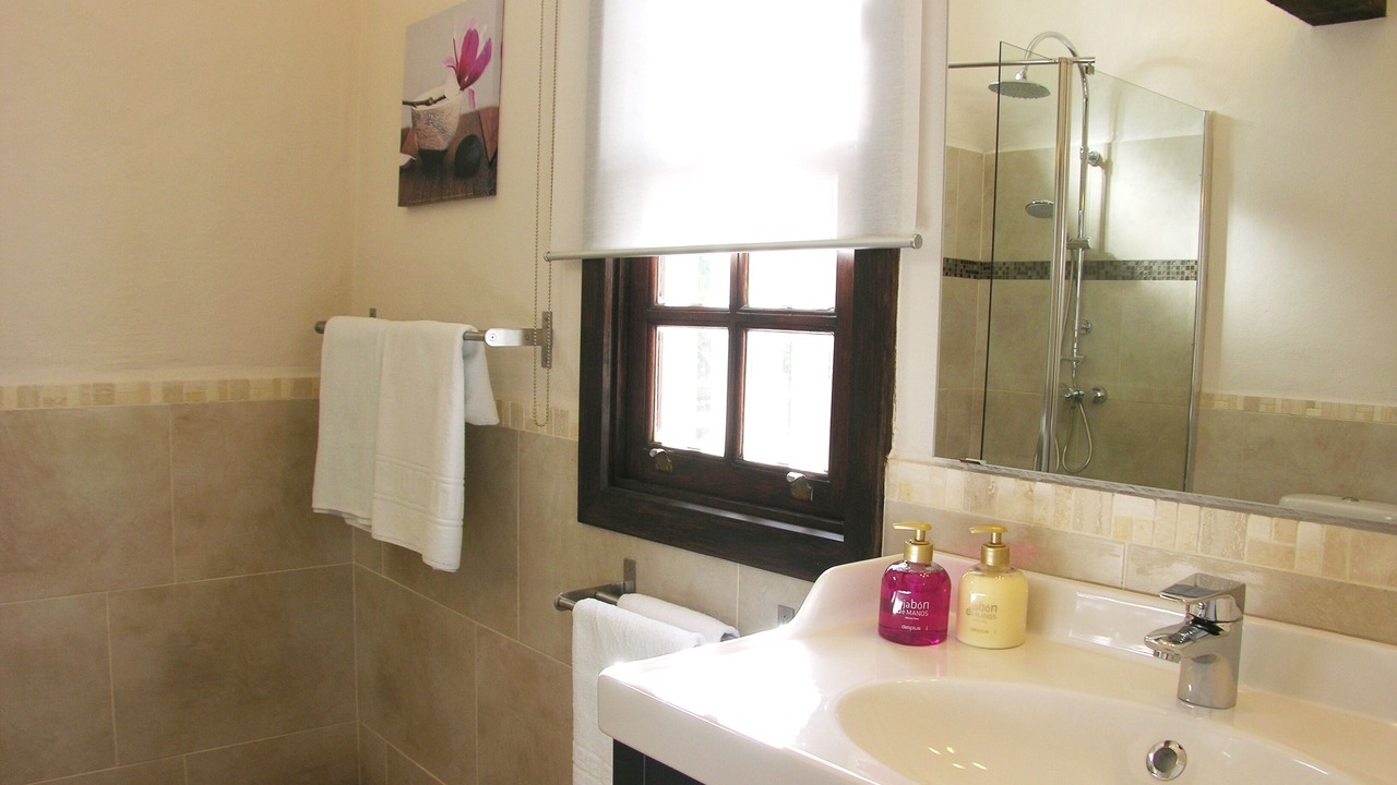 Photo of Bathroom in La Orotava
