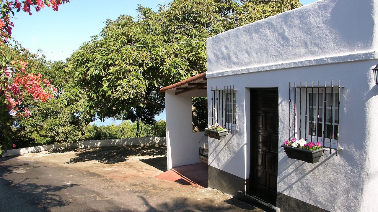 Photo of Others in La Orotava