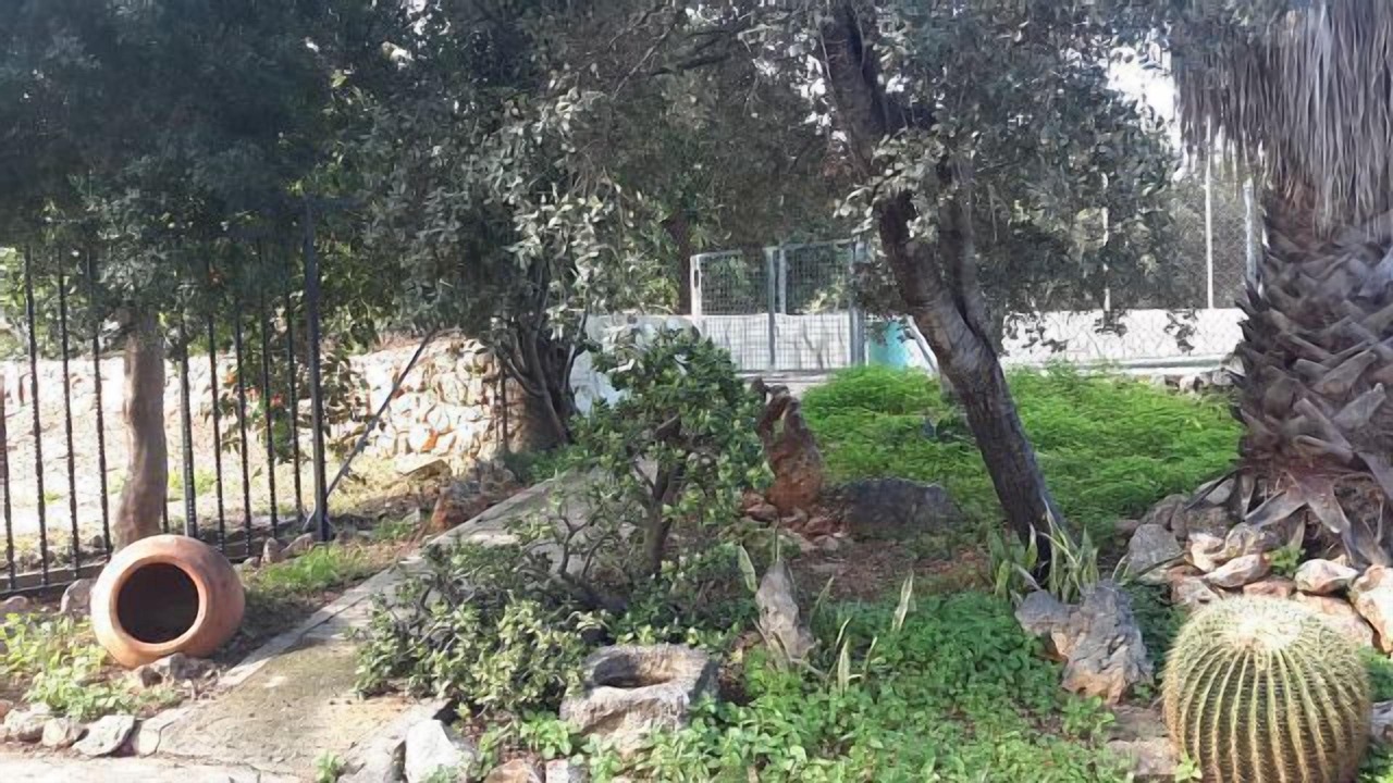 Photo of Outdoor in Corbera