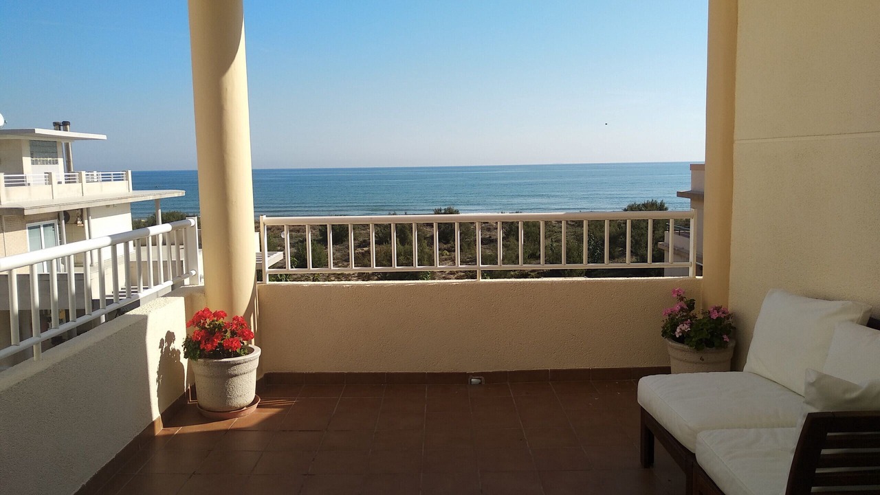 Photo of Outdoor in Oliva