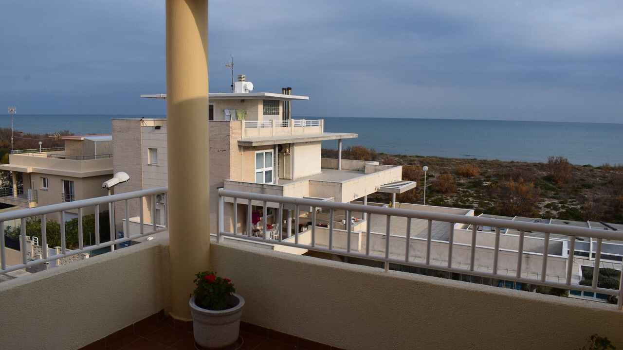 Photo of Outdoor in Oliva