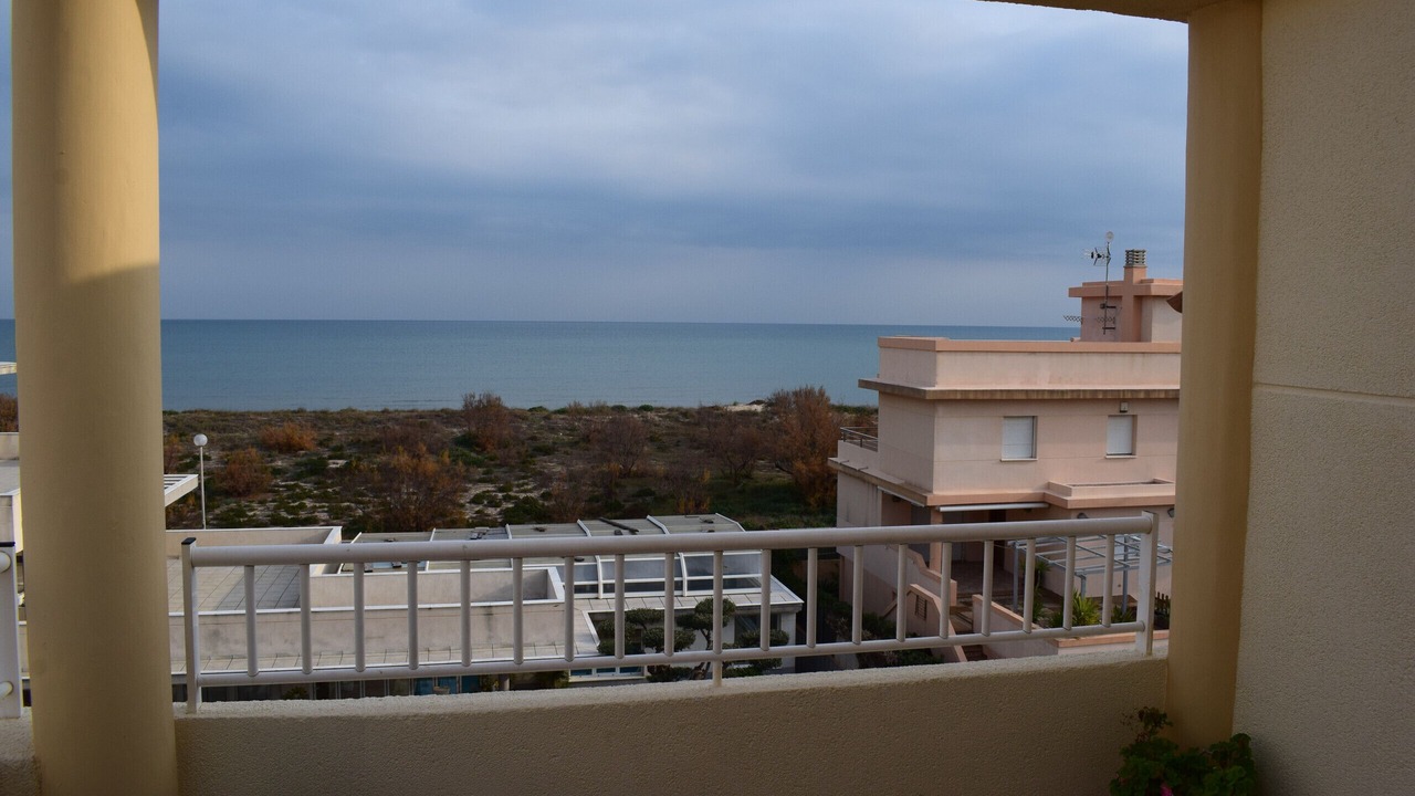 Photo of Outdoor in Oliva