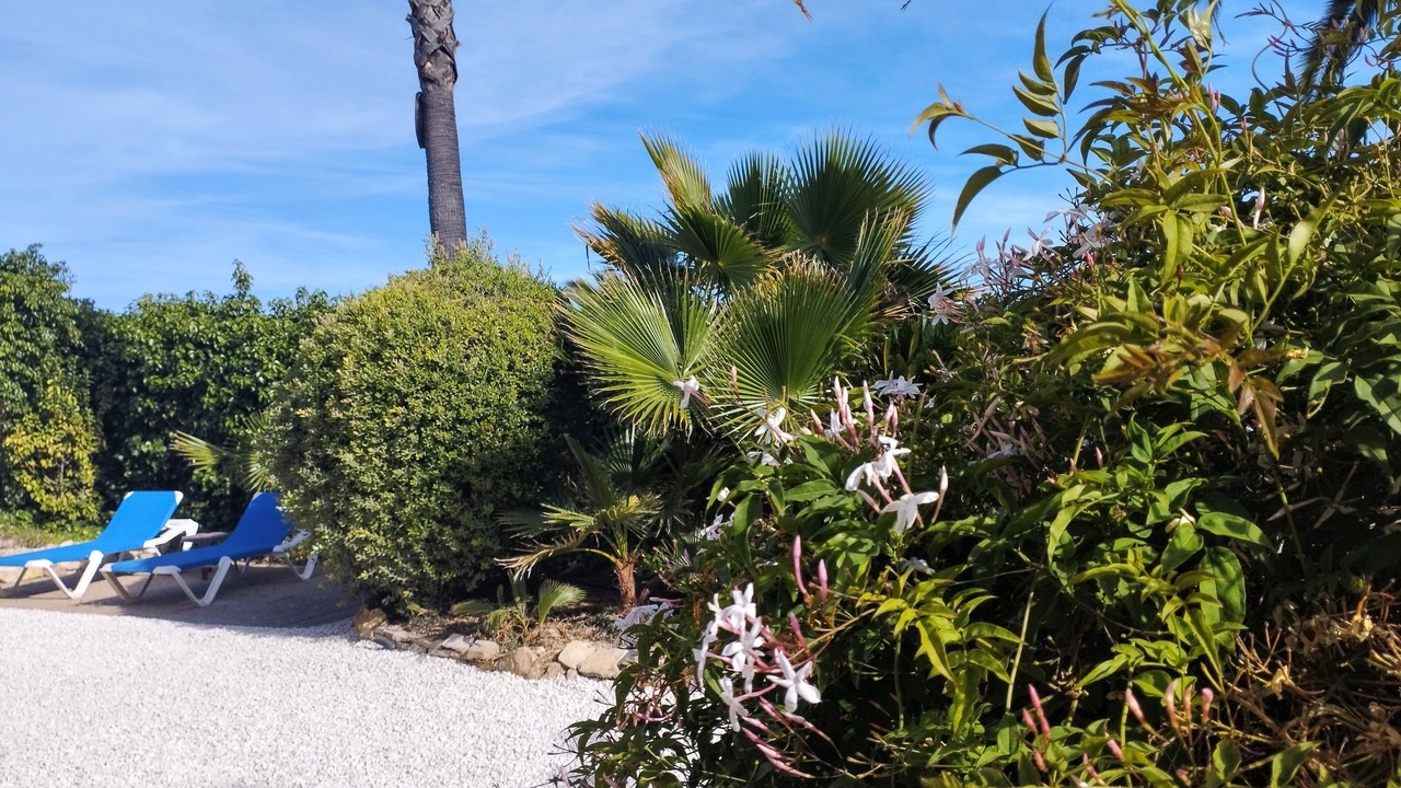 Photo of Outdoor in La Sabatera