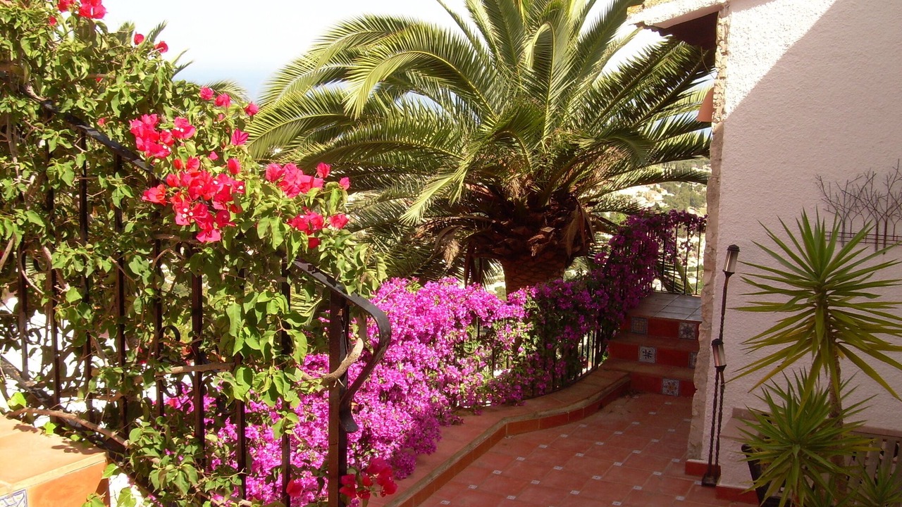 Photo of Outdoor in Benissa Coast