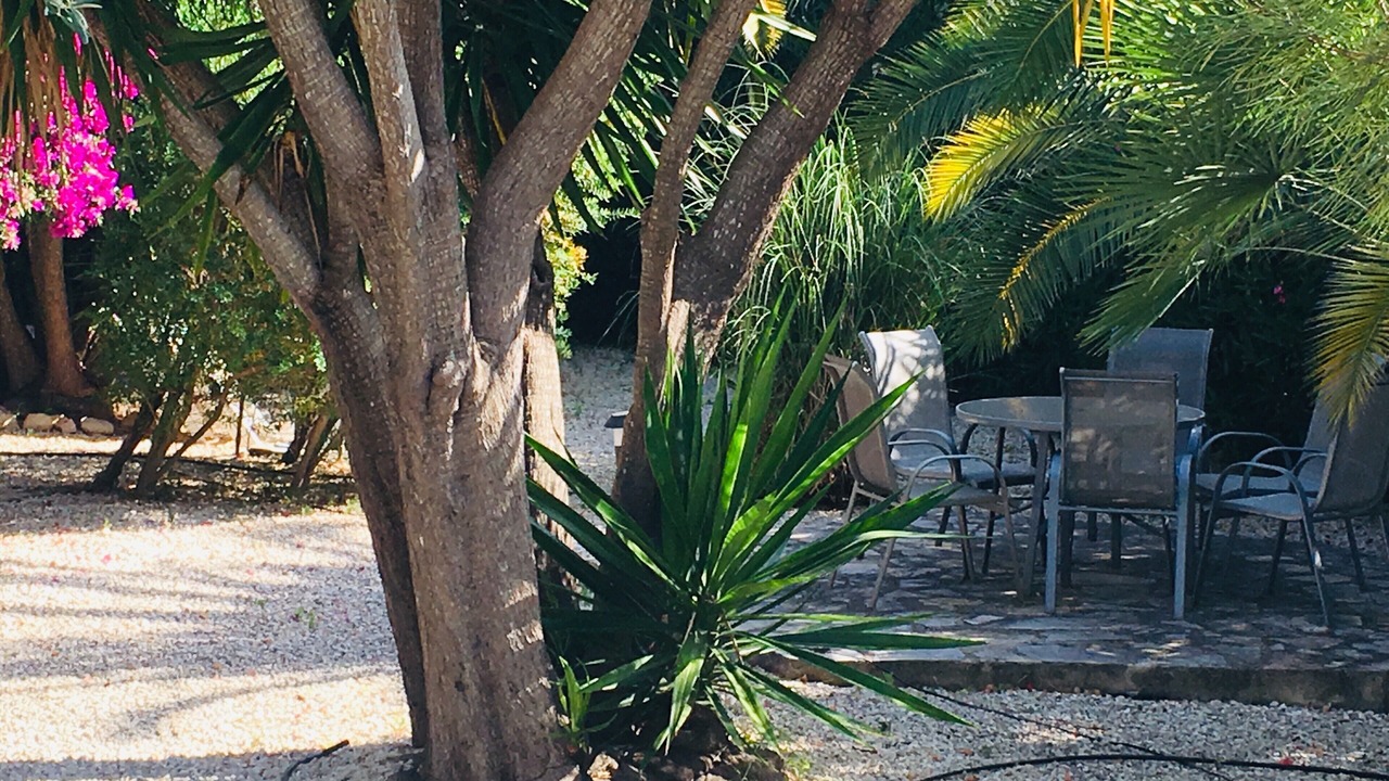 Photo of Outdoor in Montgo de Toscamar