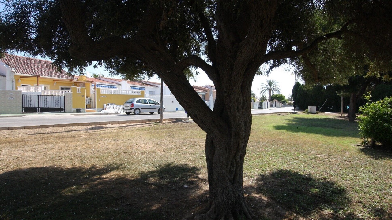 Photo of Others in Torrevieja