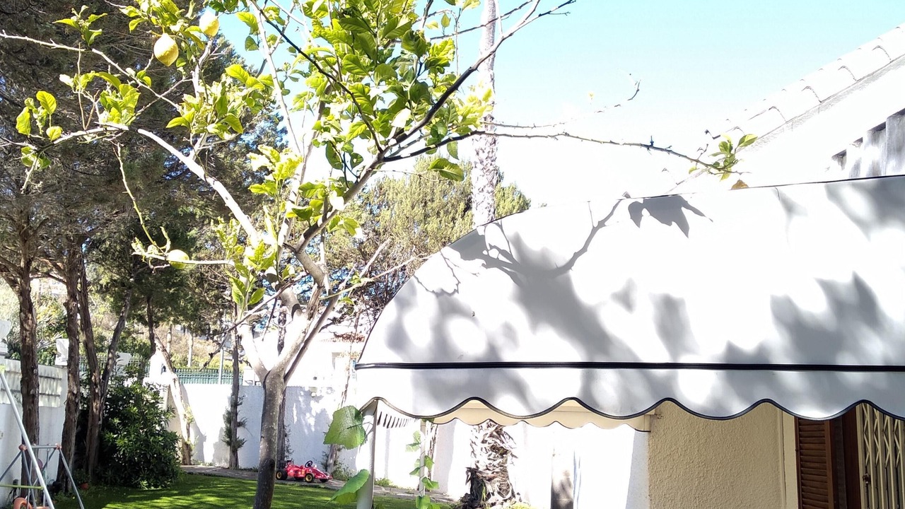 Photo of Outdoor in Las Brisas