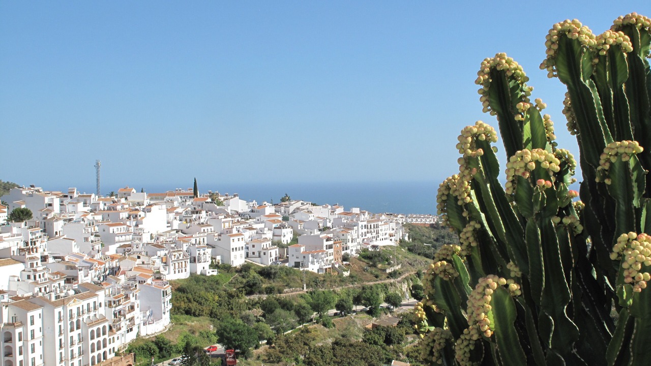 Photo of Others in Torrox Costa