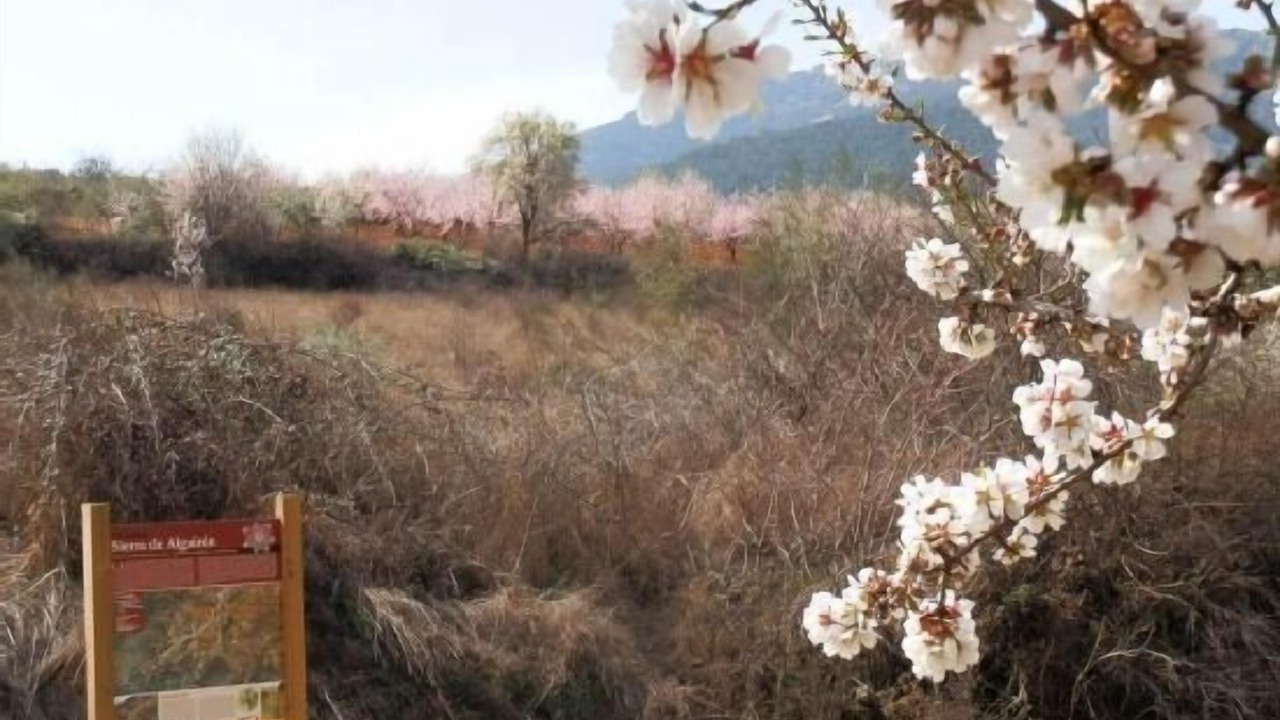 Photo of Outdoor in Almonacid de la Sierra