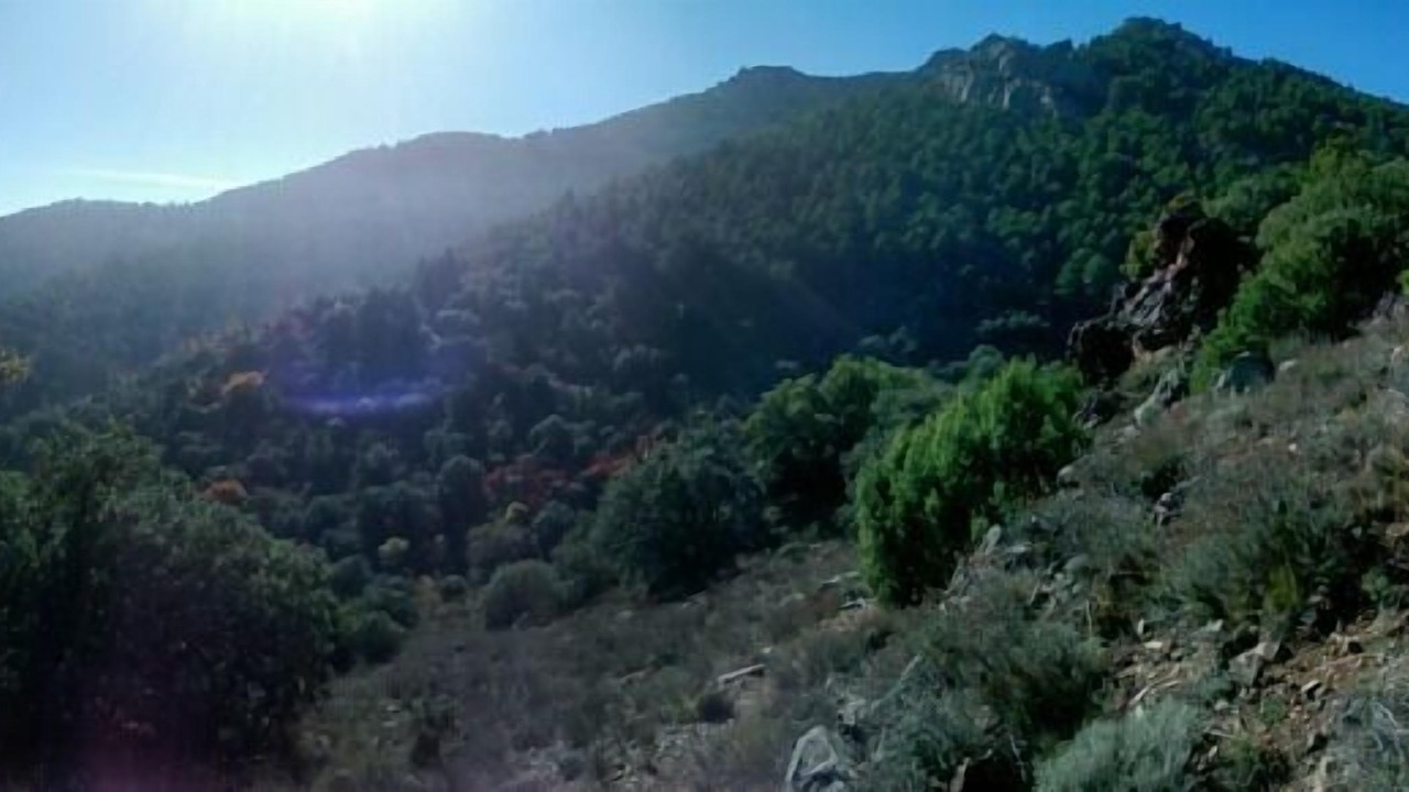 Photo of Others in Almonacid de la Sierra