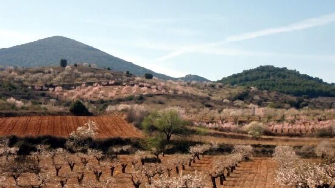 Photo of Outdoor in Almonacid de la Sierra