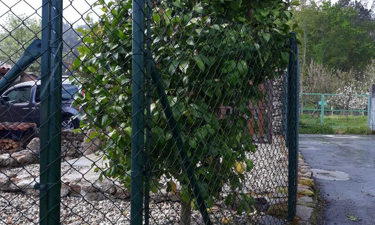 Photo of Outdoor in A Caniza