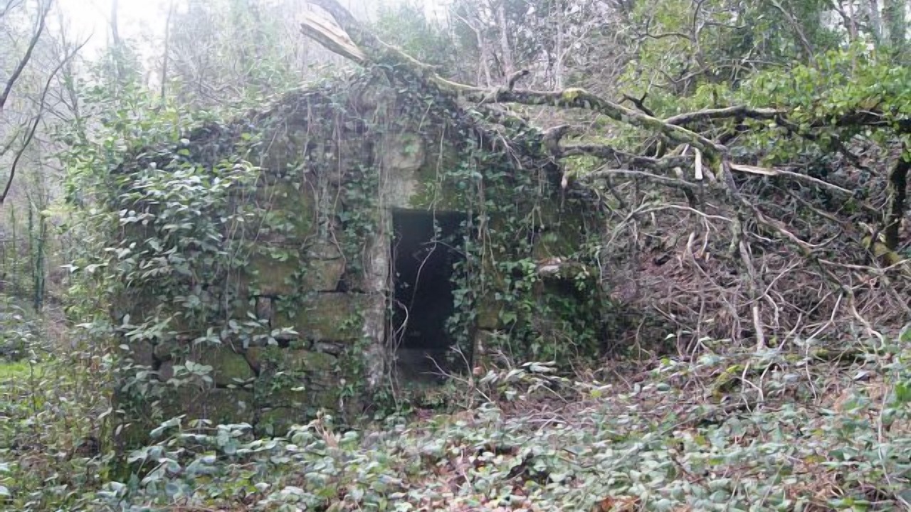 Photo of Outdoor in A Caniza