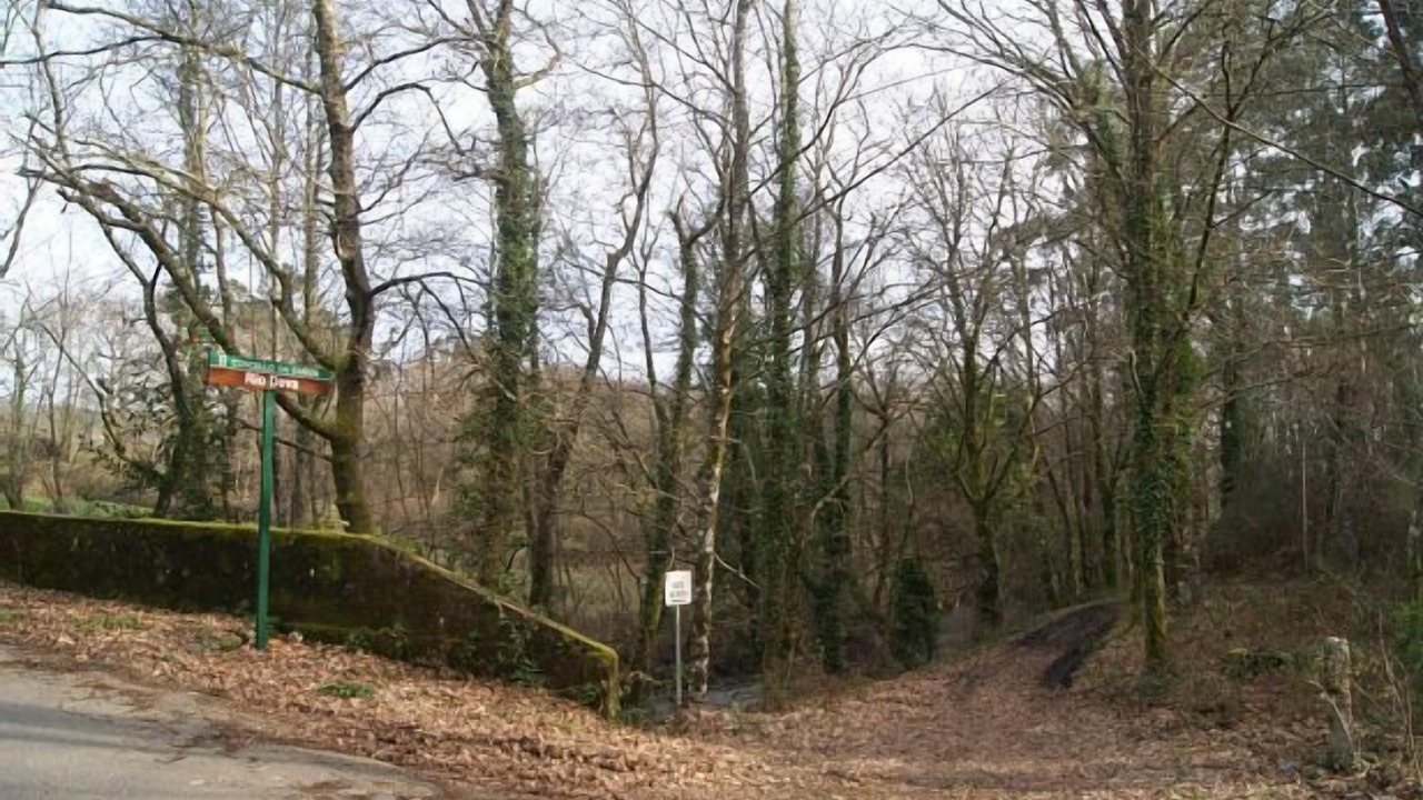Photo of Outdoor in A Caniza