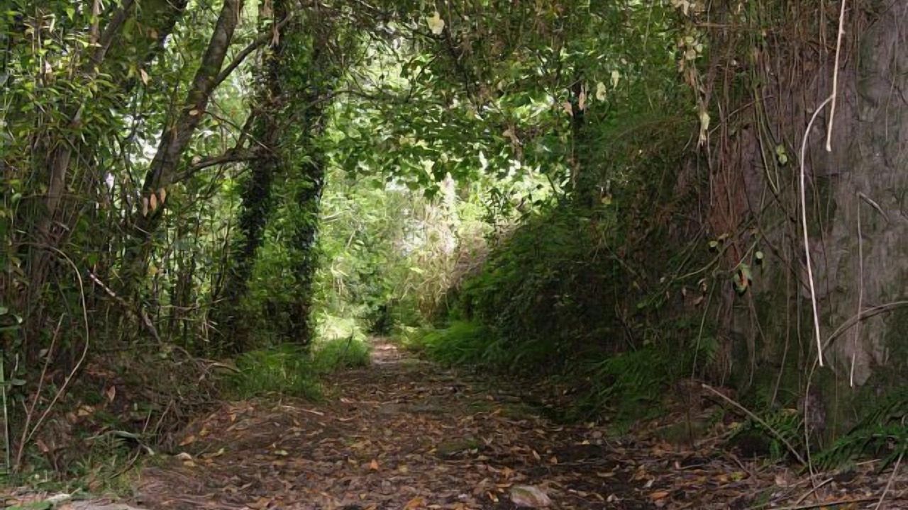 Photo of Outdoor in A Caniza