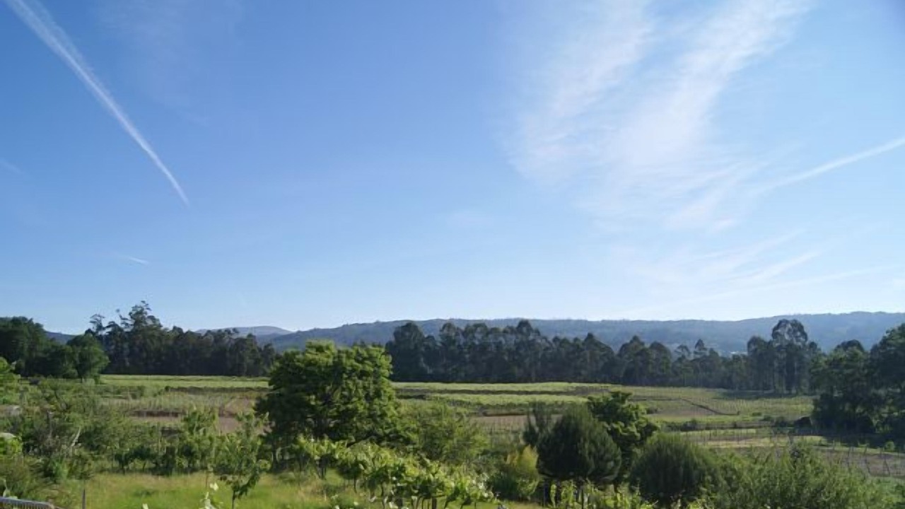 Photo of Outdoor in A Caniza