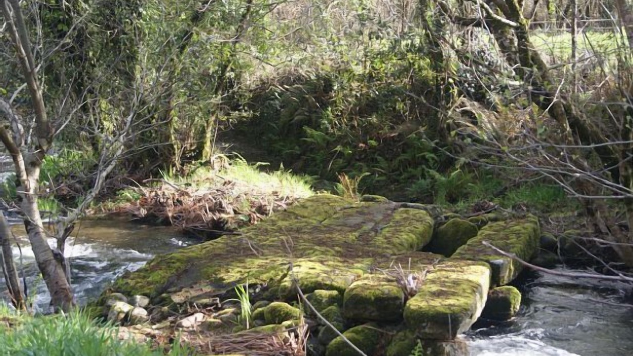 Photo of Outdoor in A Caniza
