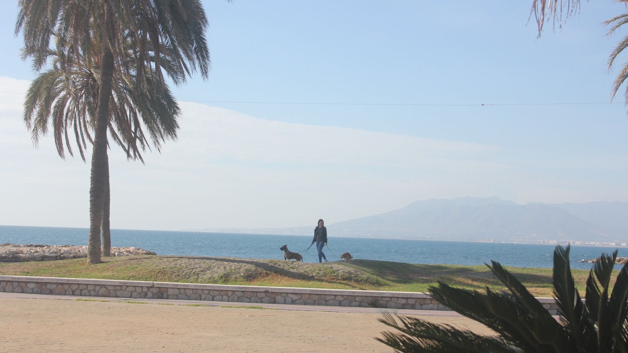 Photo of Others in Playas del Palo