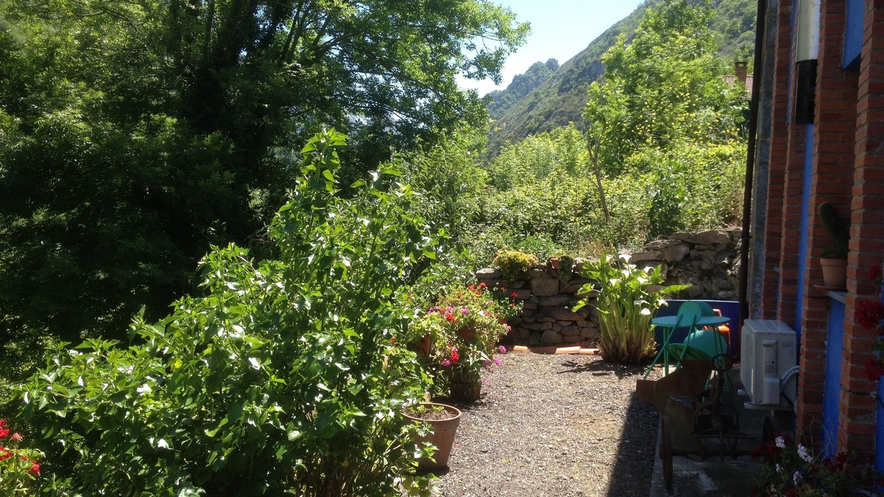 Photo of Outdoor in Ponga