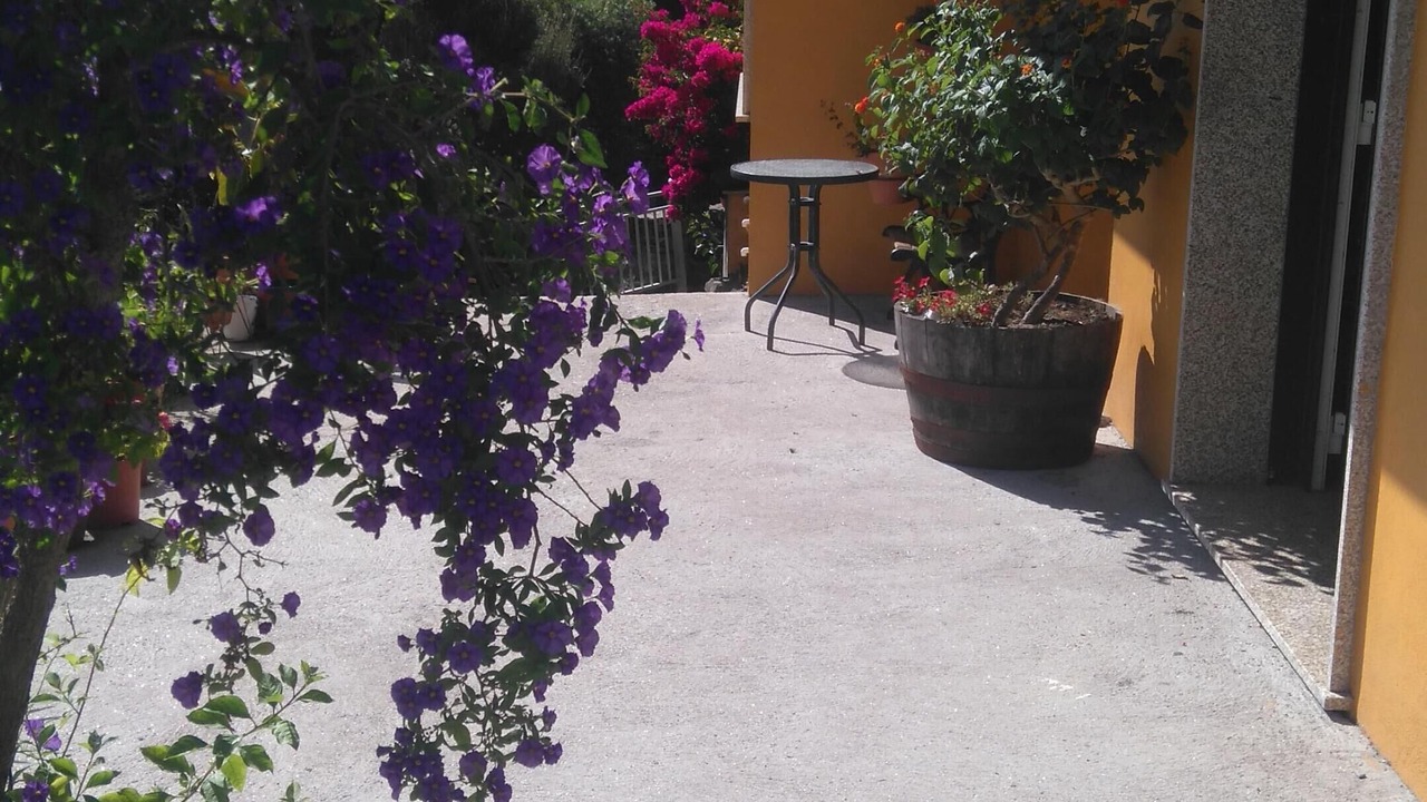 Photo of Outdoor in Chancelas