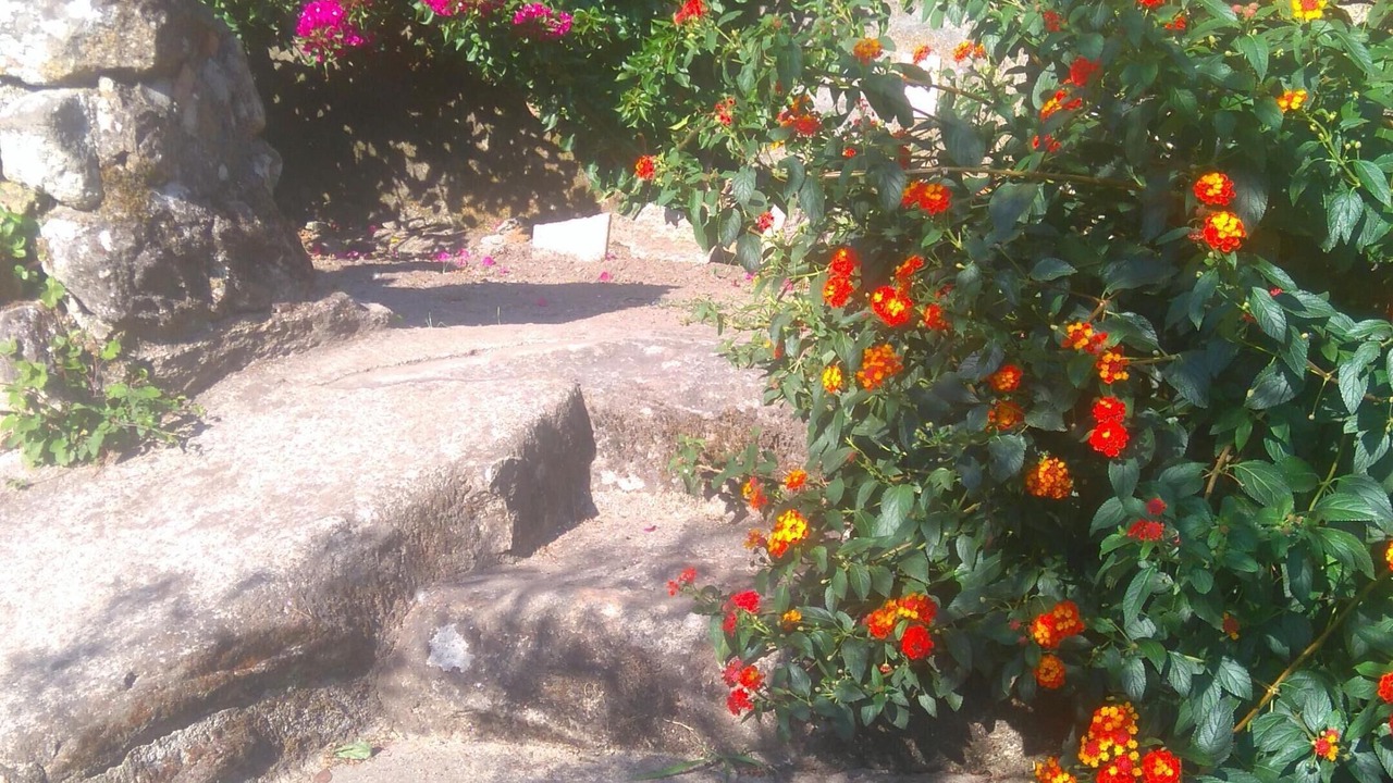 Photo of Outdoor in Chancelas