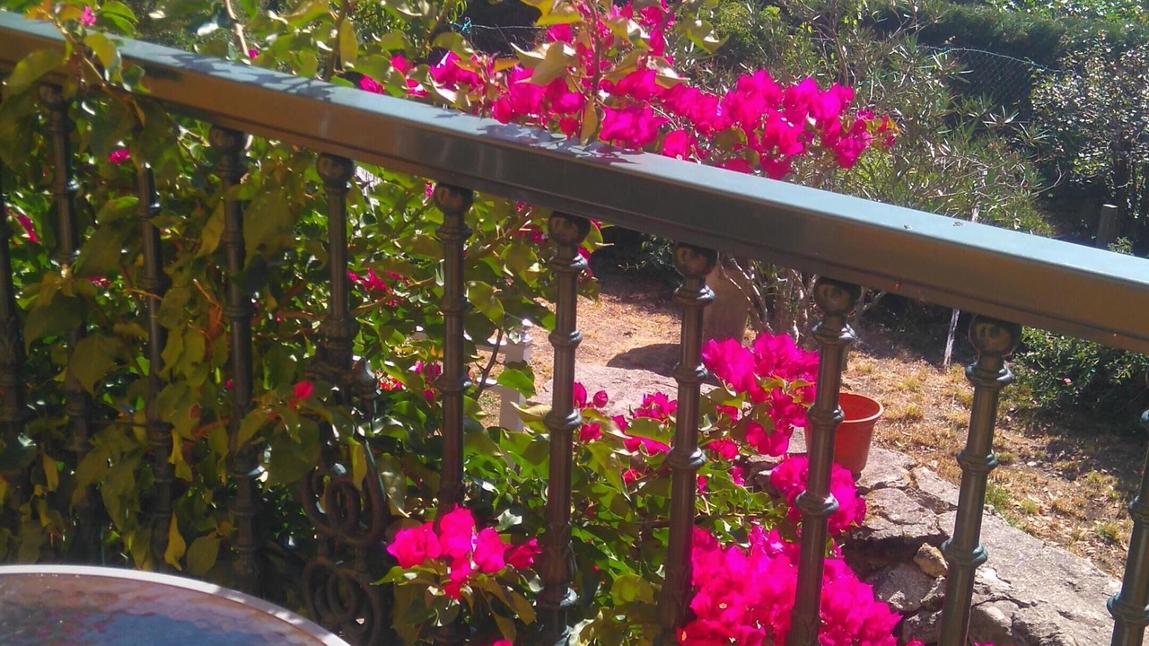 Photo of Outdoor in Chancelas