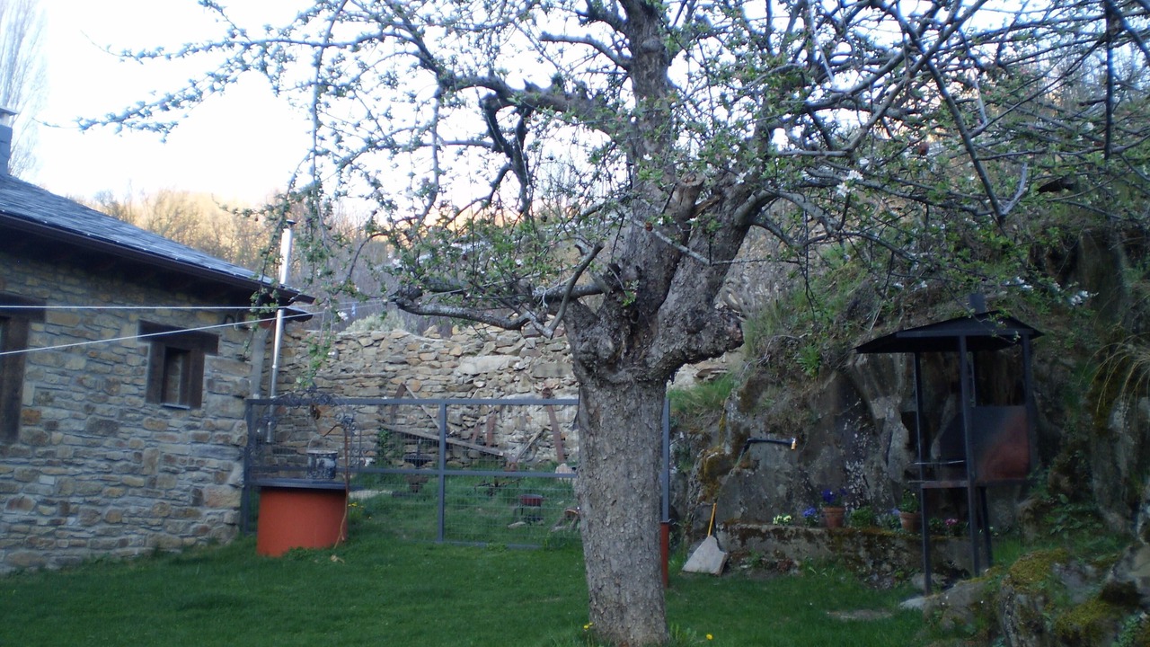 Photo of Outdoor in San Justo
