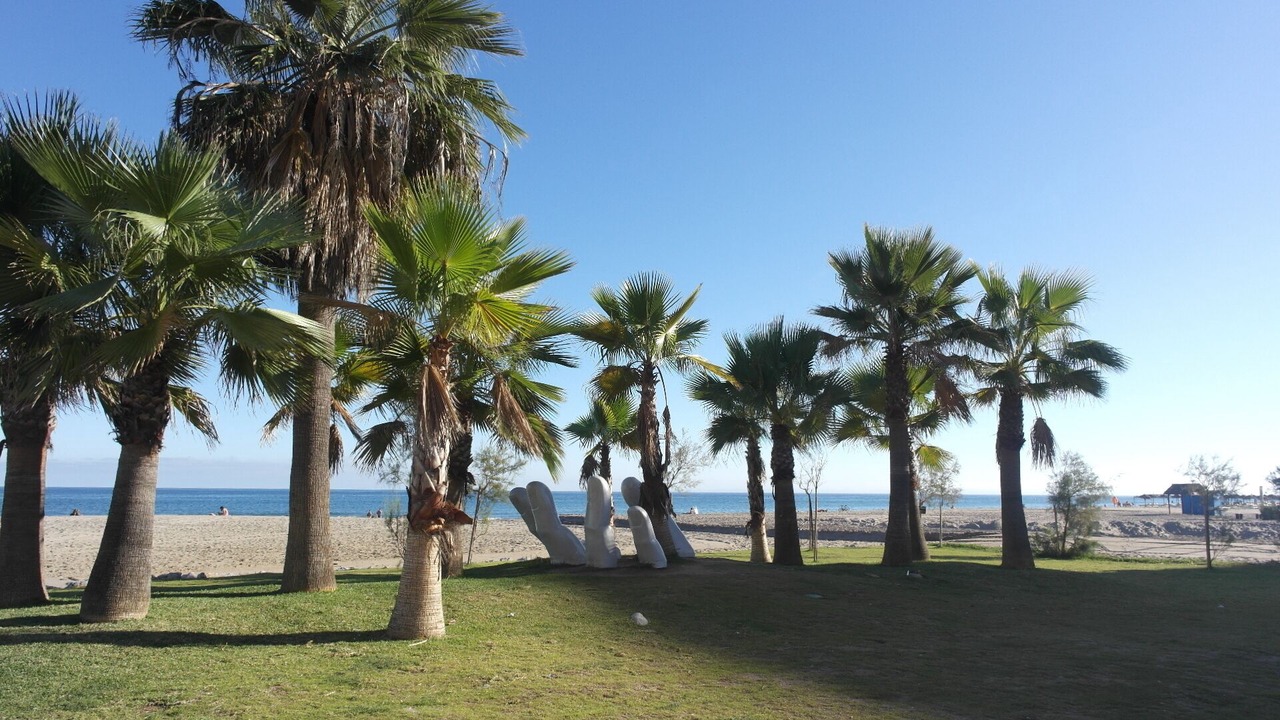Photo of Others in Torreblanca