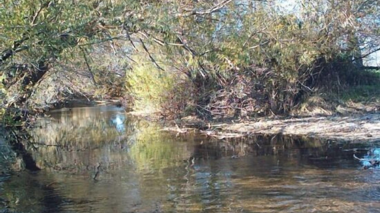 Photo of Others in Blacha