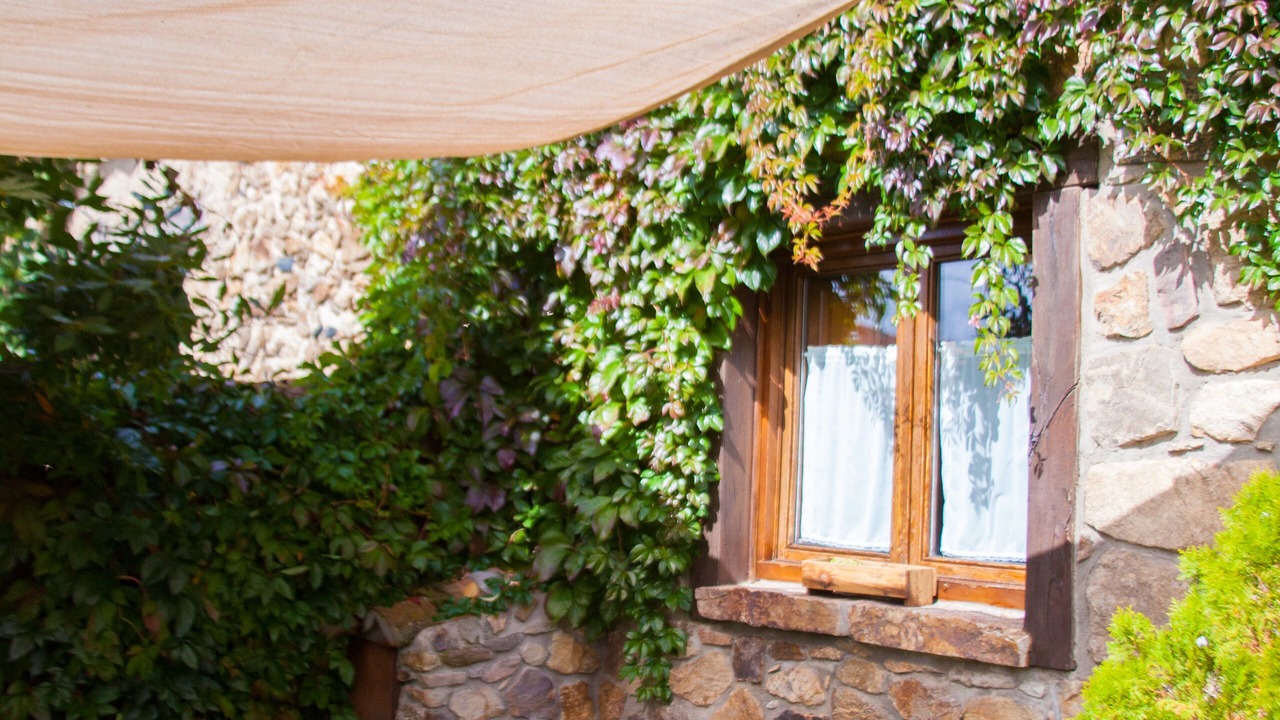 Photo of Outdoor in Braojos